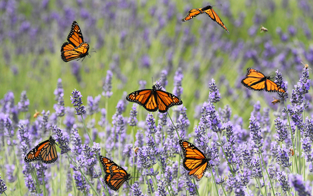 Edition 3471 Puzzle 46832