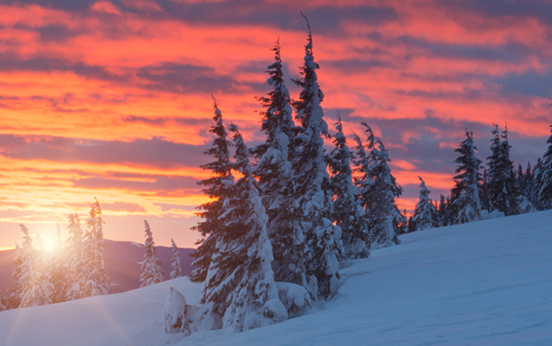 Edition 3410 Puzzle 43169