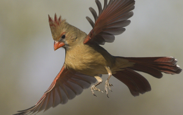 Edition 3454 Puzzle 45743