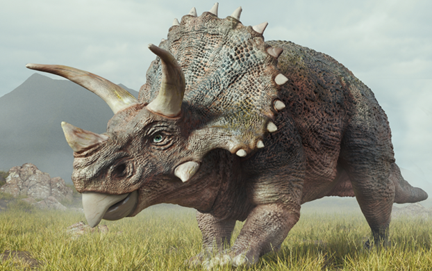 Edition 3479 Puzzle 47360