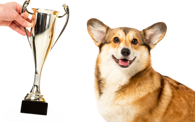 Edition 3439 Puzzle 44819