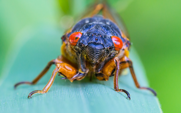 Edition 2980 Puzzle 22577