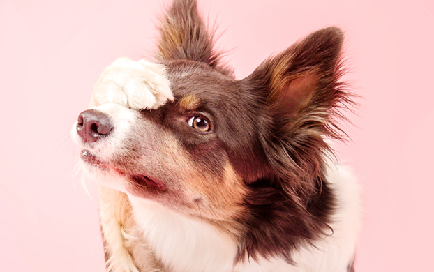 Edition 3422 Puzzle 43796