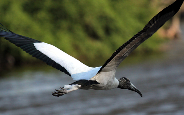 Edition 3444 Puzzle 45149