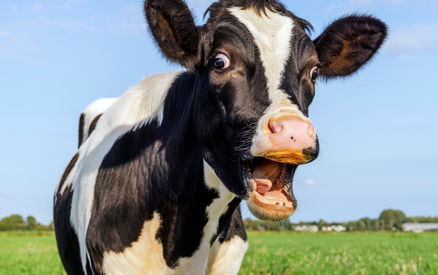 Edition 3403 Puzzle 42740