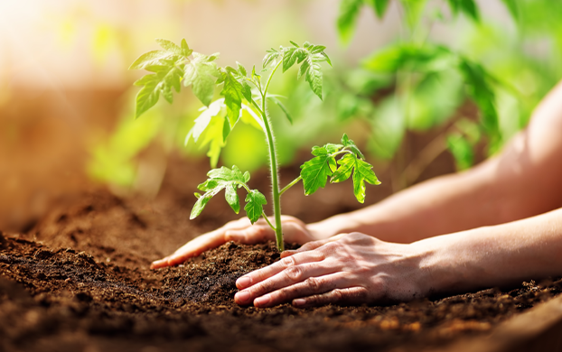 Edition 3431 Puzzle 44324