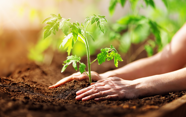 Edition 3399 Puzzle 42476