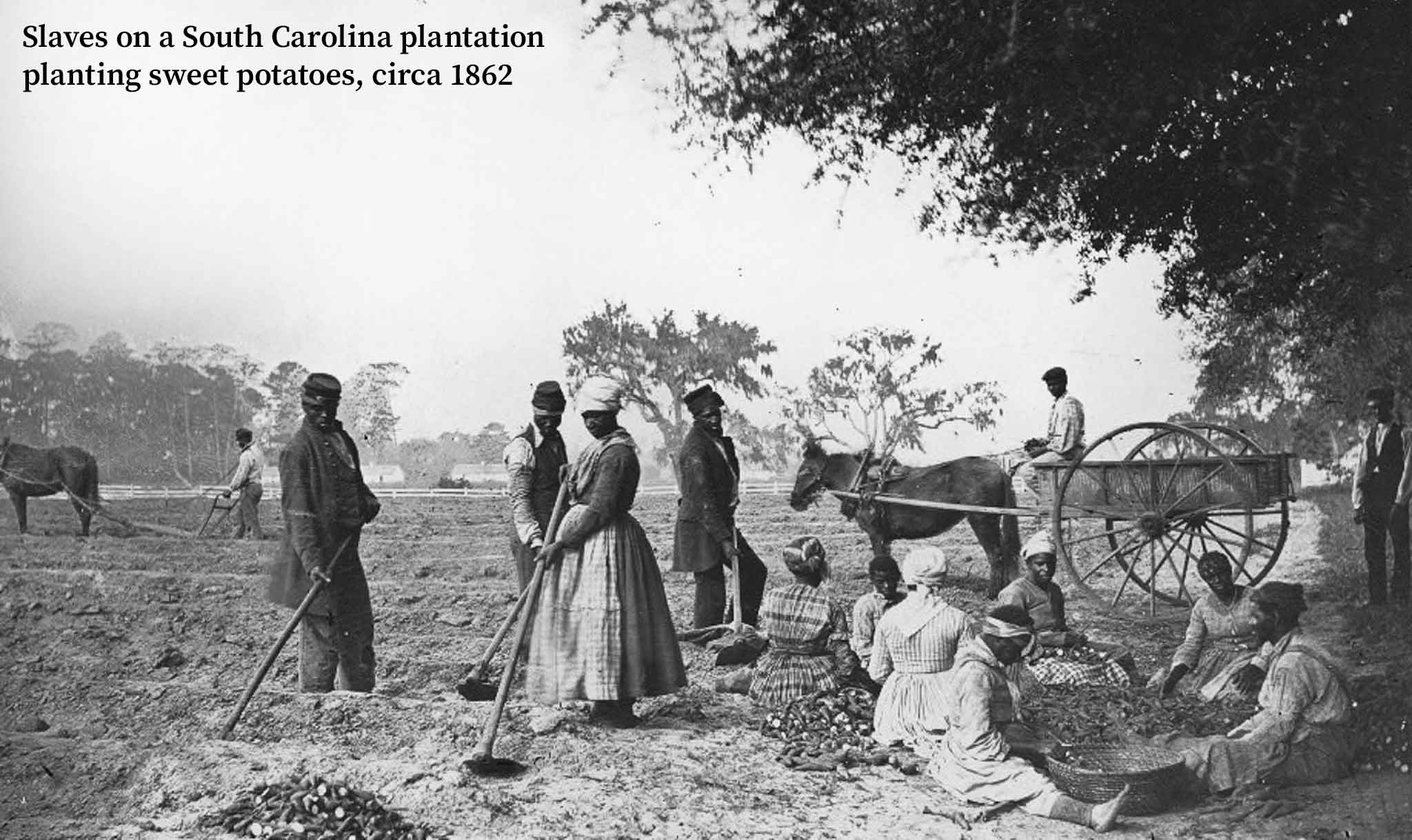 Millions of slaves were forced to work for no money.