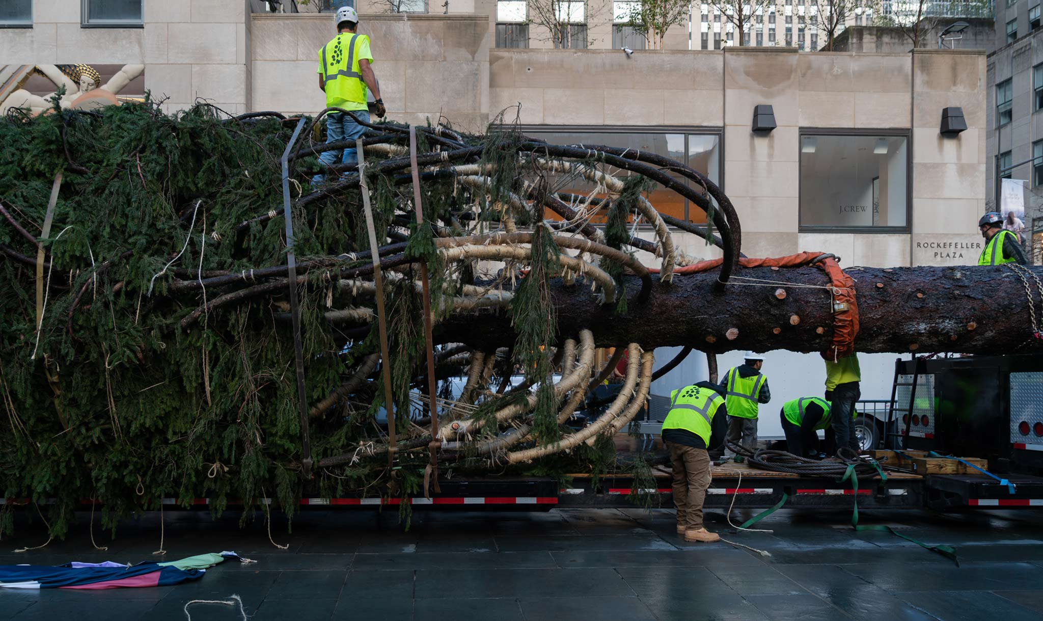 Workers brought the tree to Rockefeller Center on November 12.
