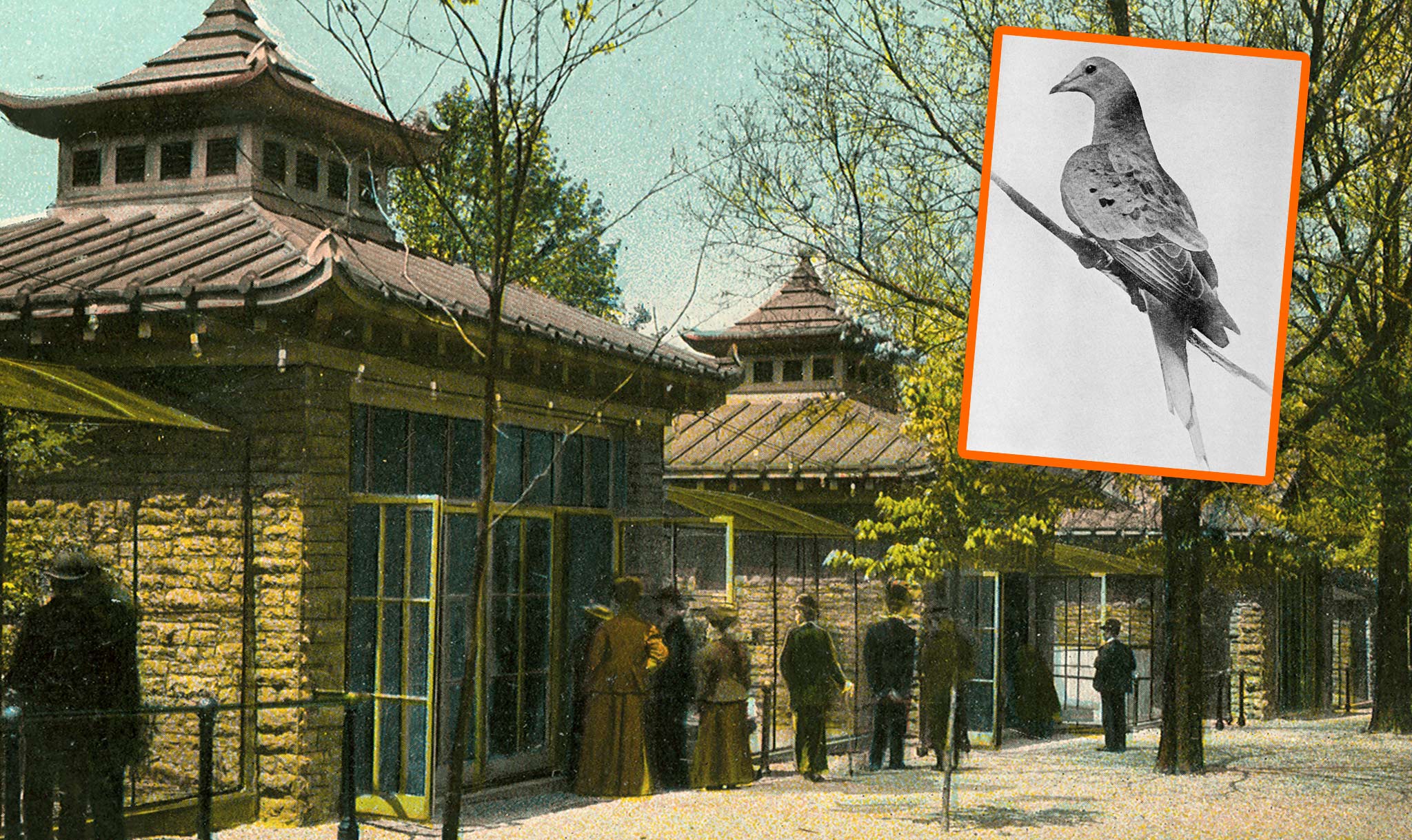 People have visited birds there (including “Martha”) for 150 years.