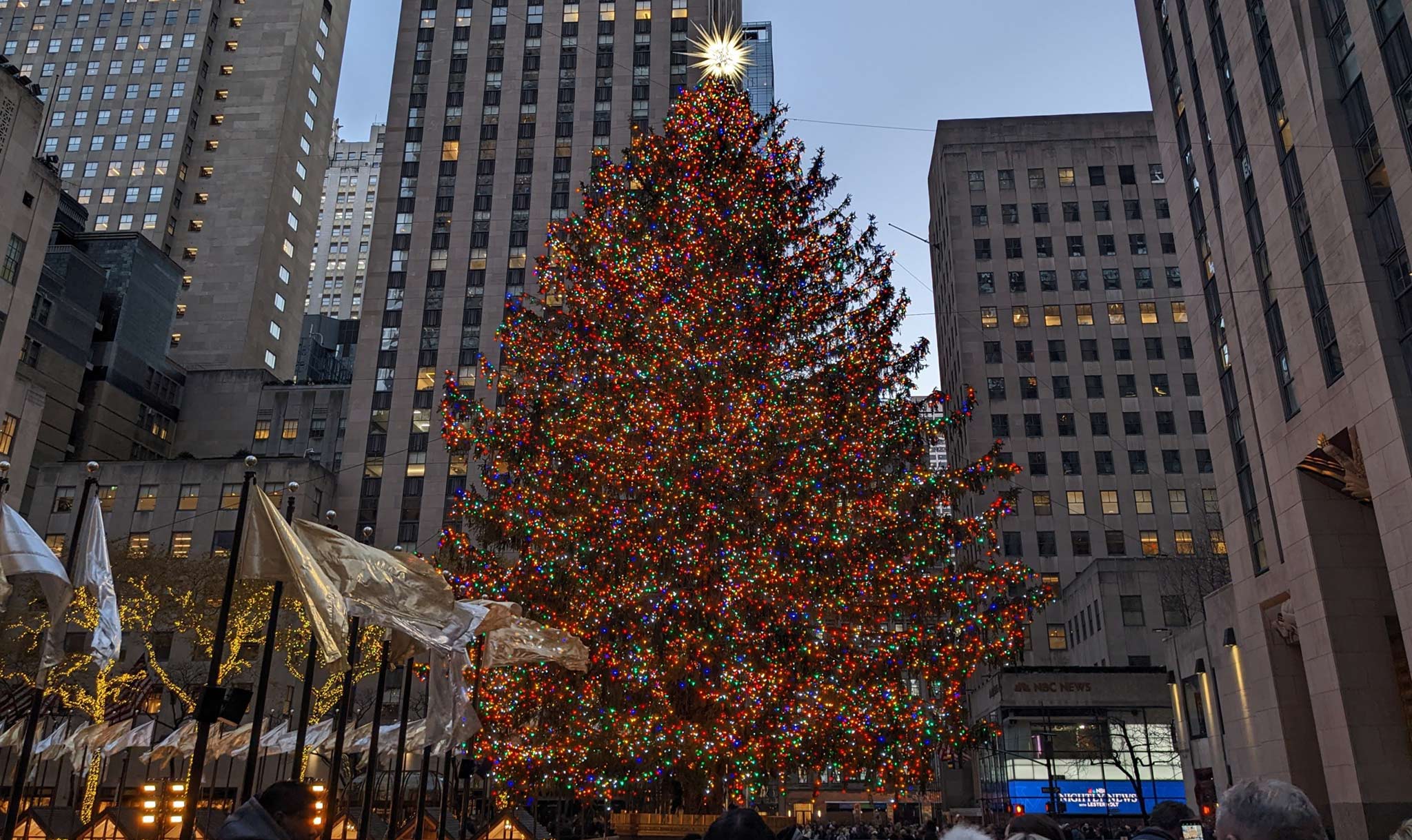 The glittering tree stands tall in Rockefeller Plaza!