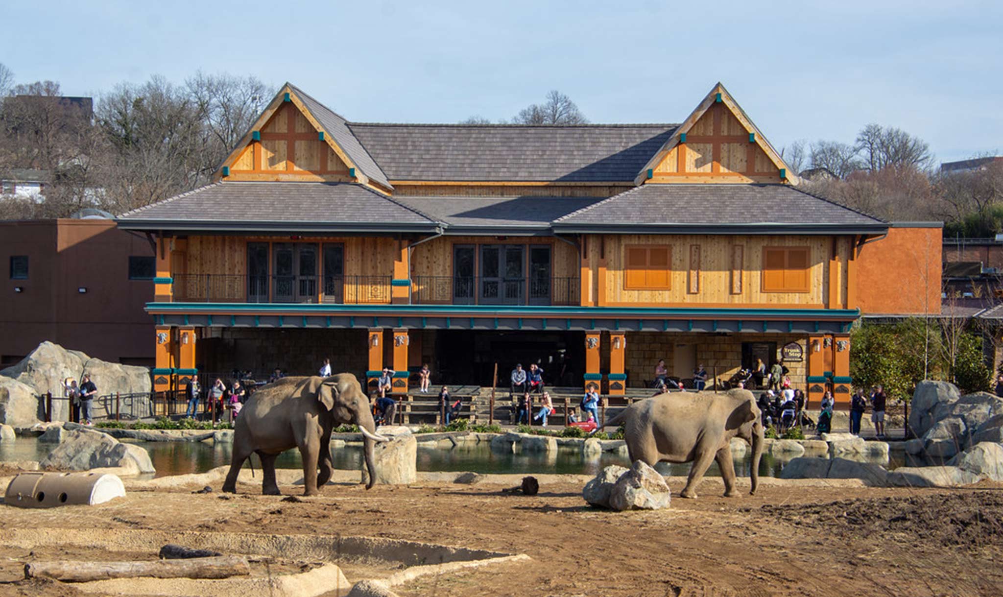 The zoo recently added a new area for elephants.