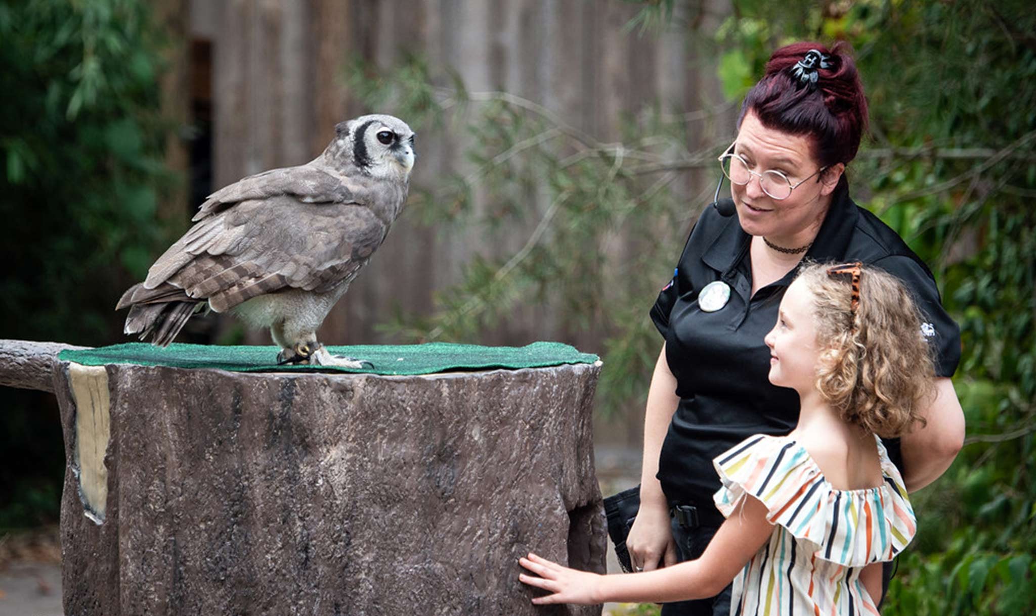 The Cincinnati Zoo lets young people learn about animals.