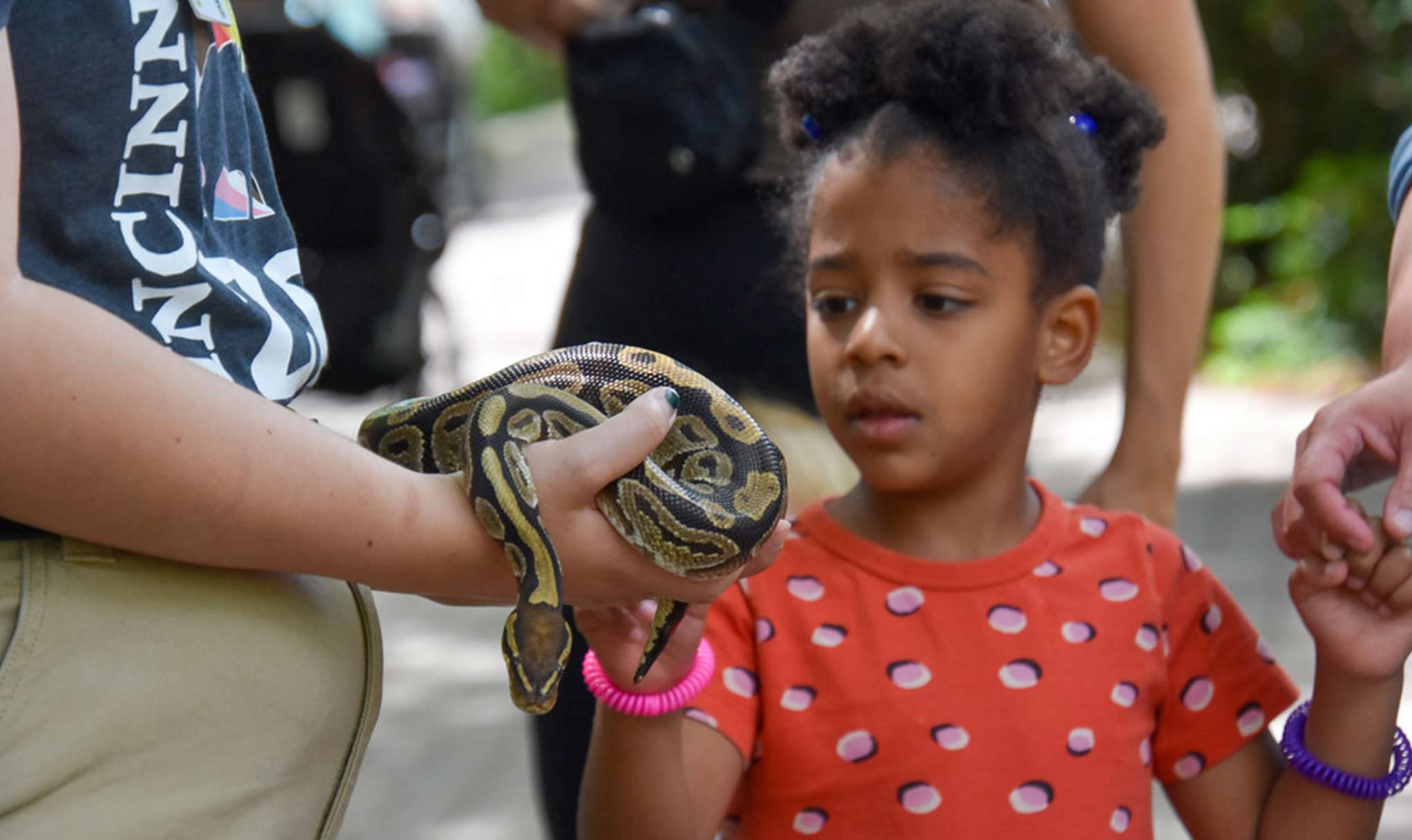 And they can even pet a snake.