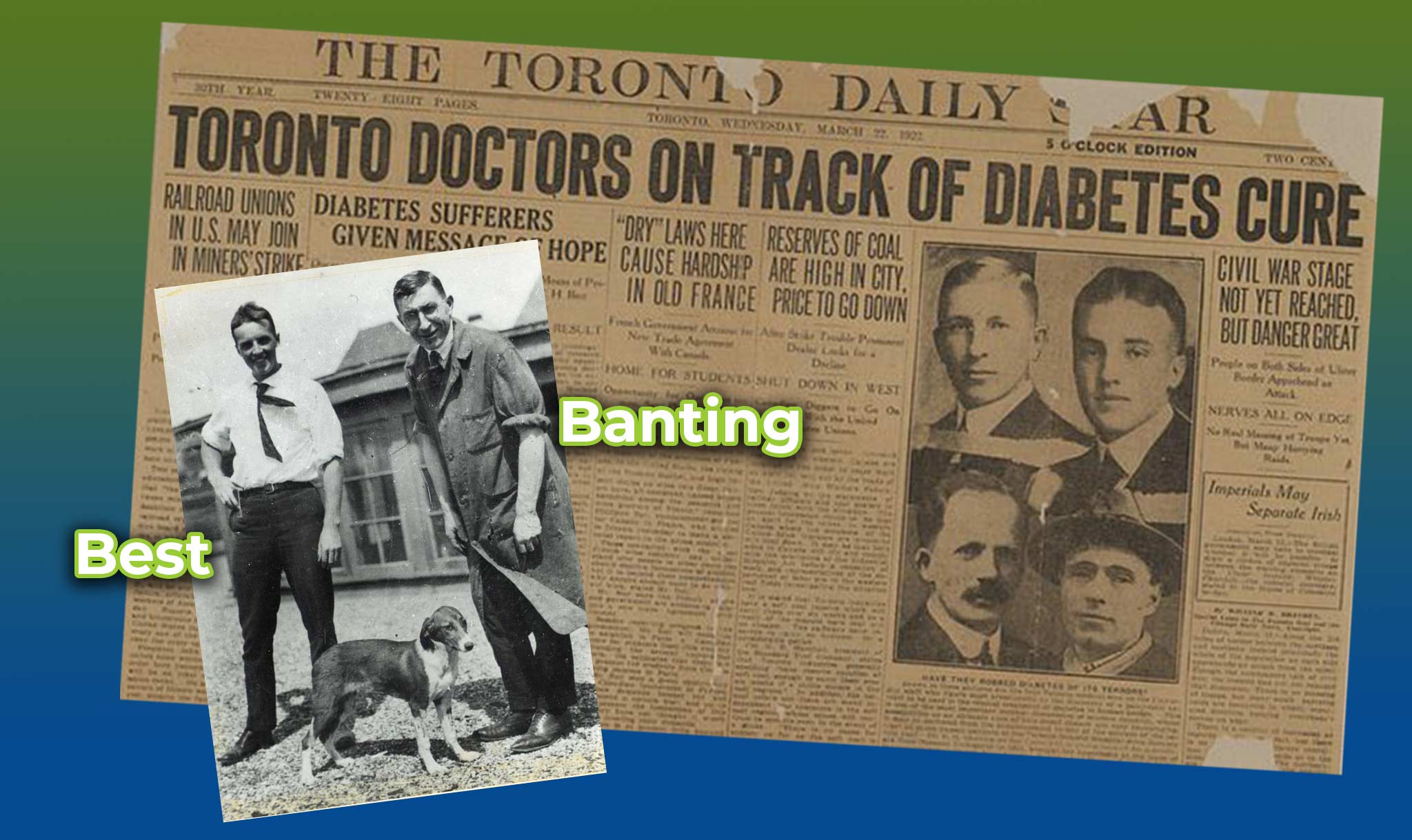 Frederick Banting and Charles Best discovered insulin.