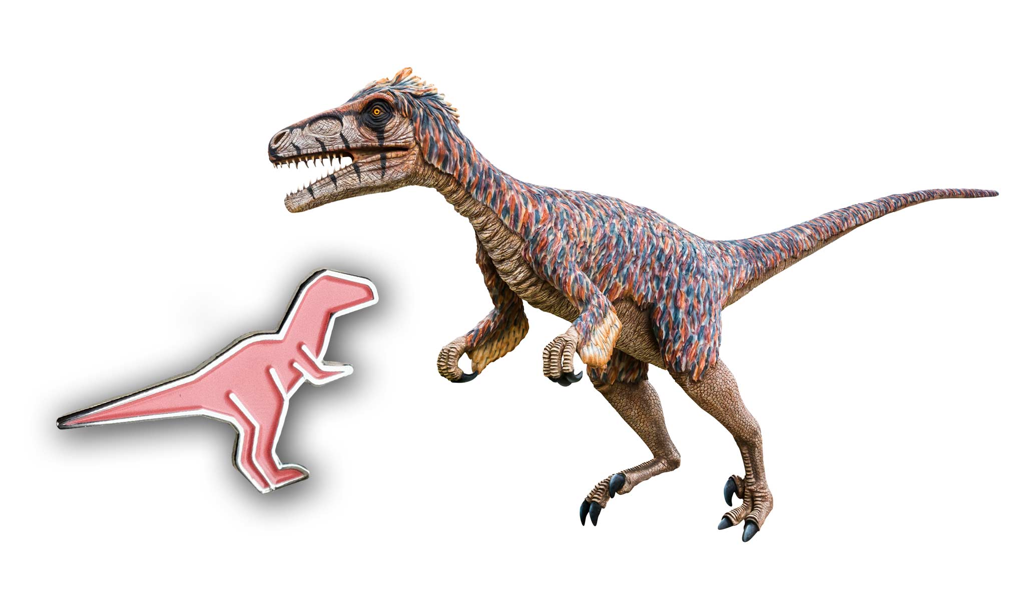 The Utahraptor is the state dinosaur.