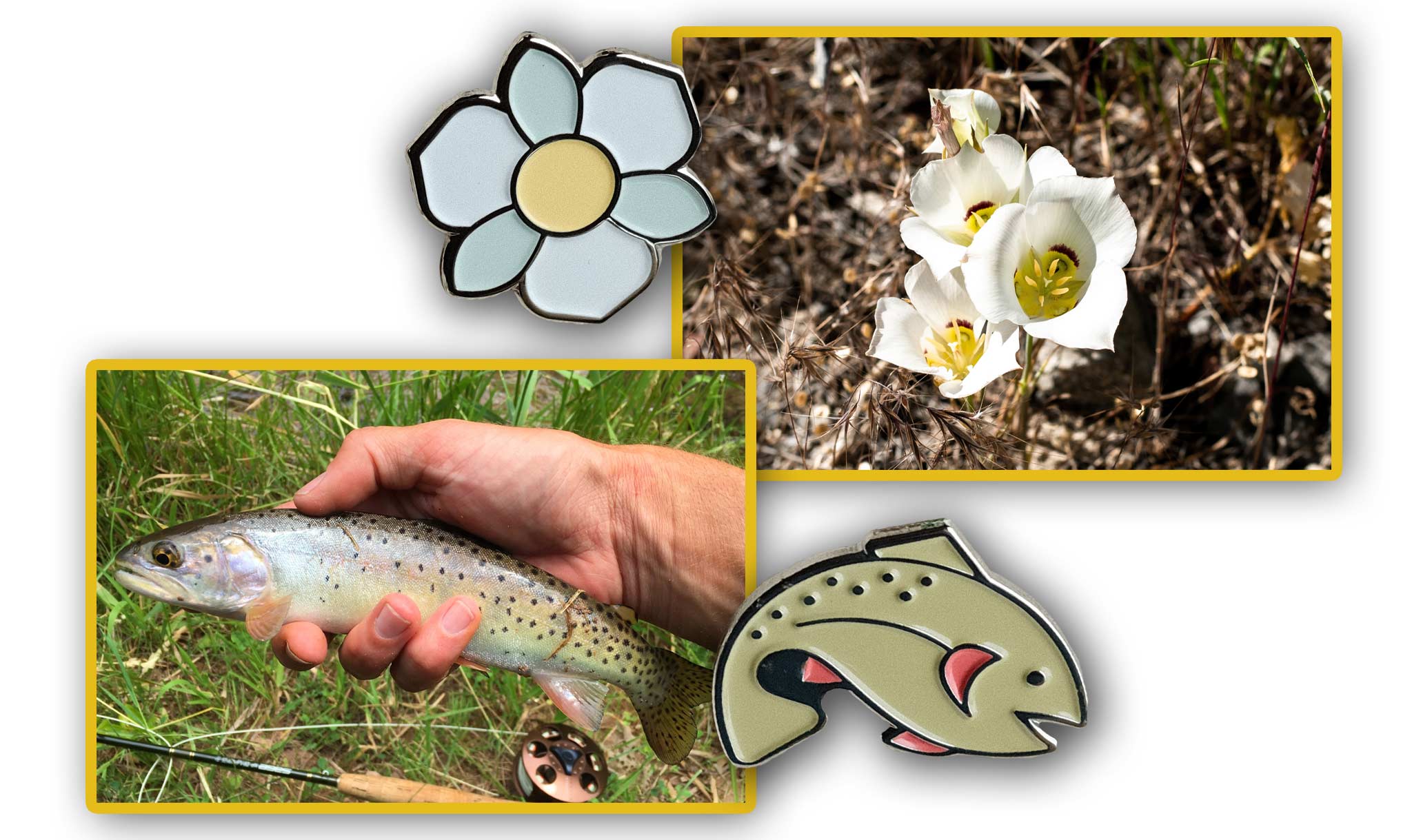 People can also collect pins for the state fish and state flower.