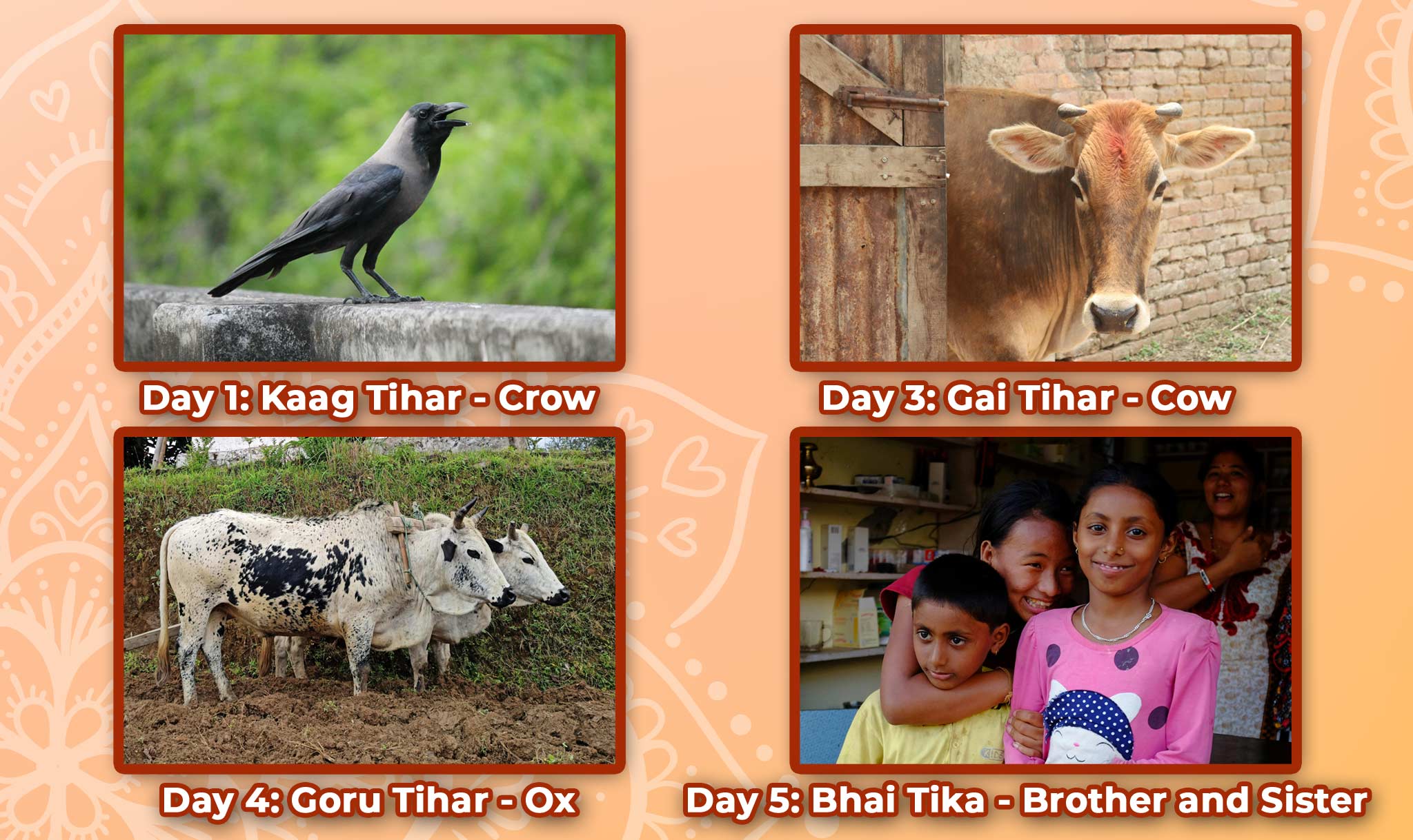 The other days of Tihar