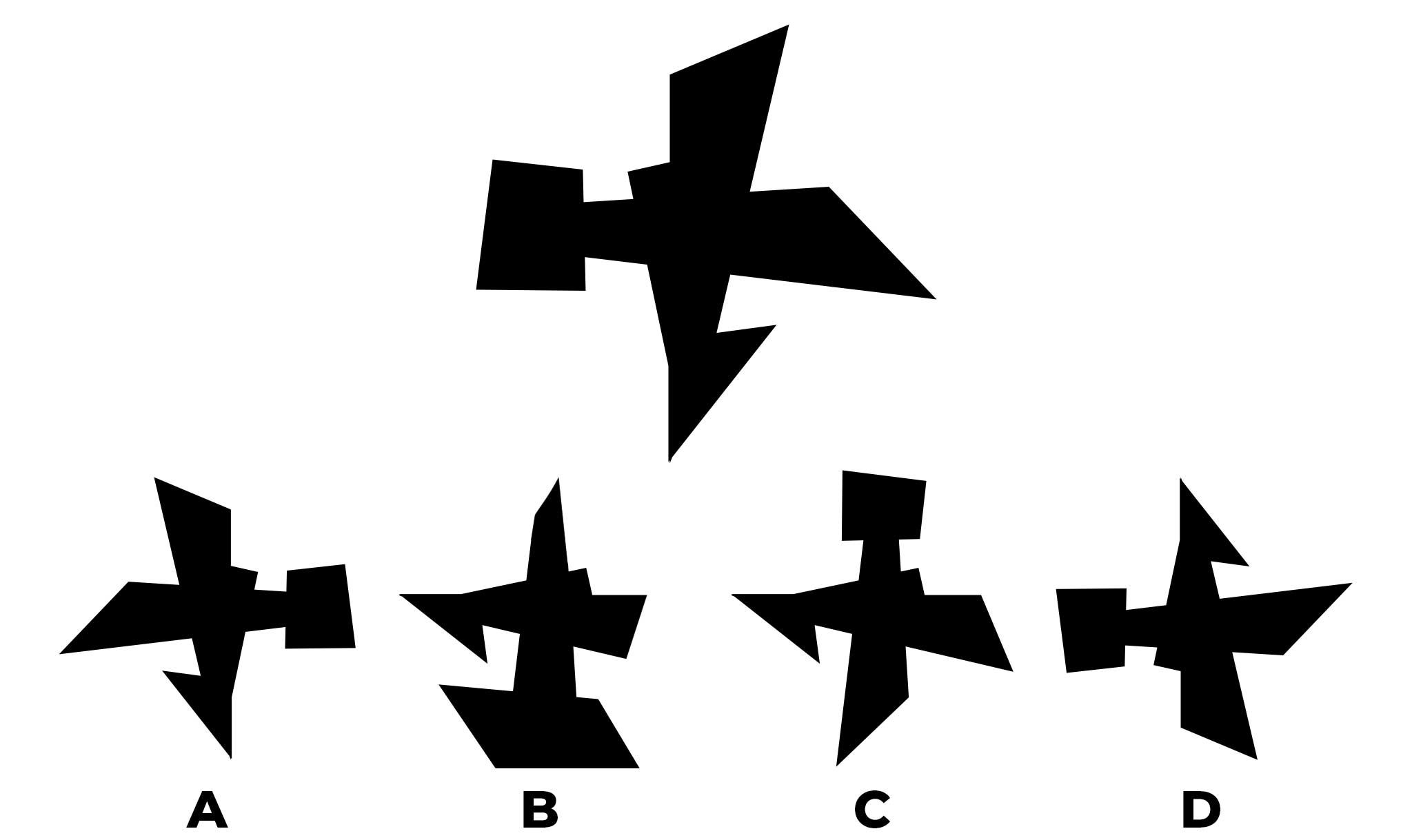 Which answer is a rotated version of the shape? (Answer on next slide)