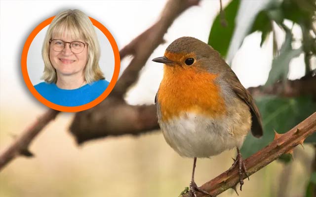 Susanne Åkesson was part of the study on European robins.