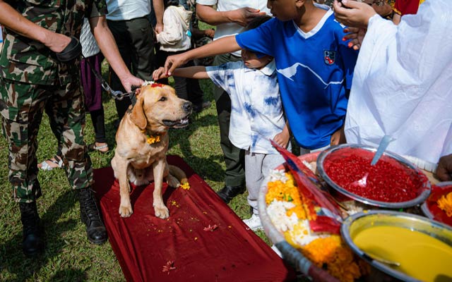 A celebration of Kukur Tihar!