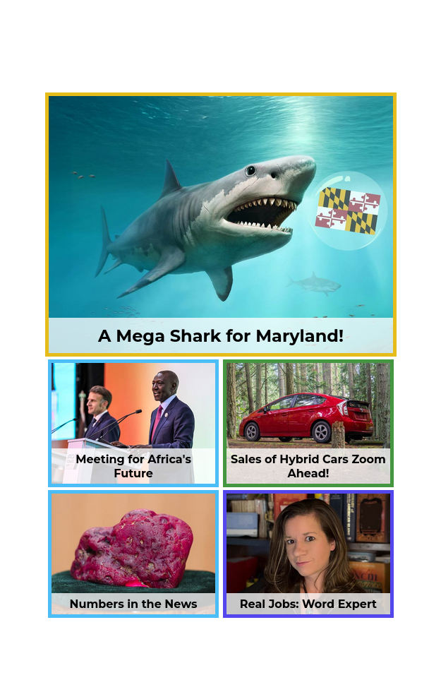 Edition of the day