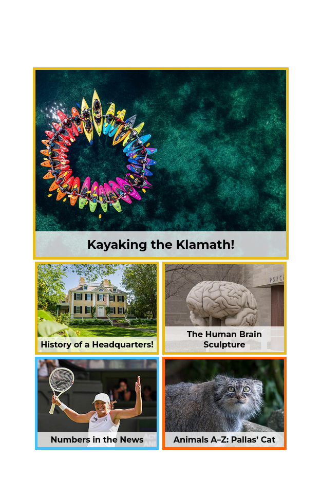 Edition of the day