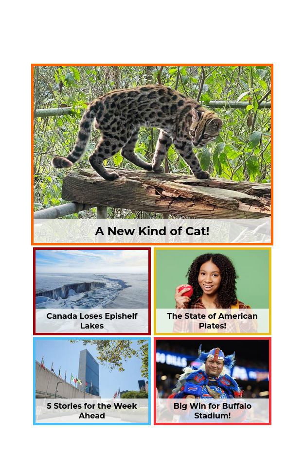Edition of the day
