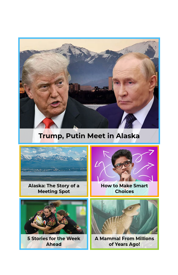Edition of the day
