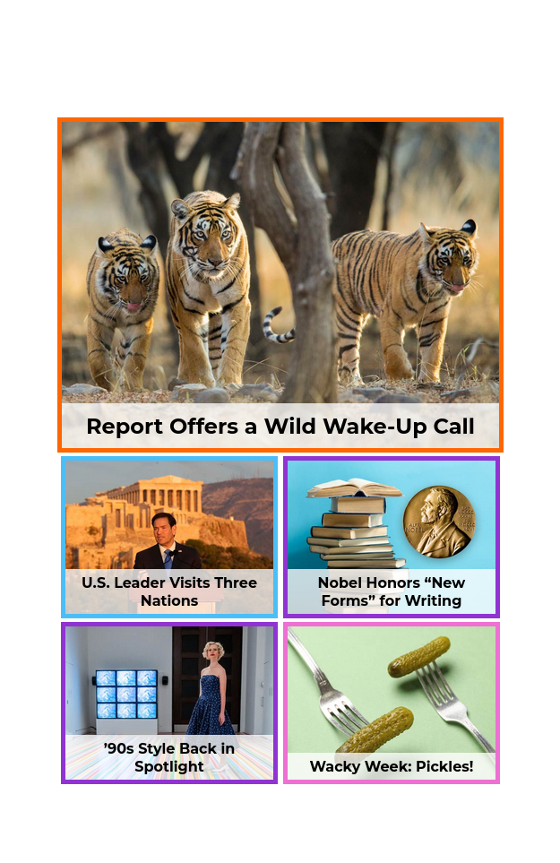 Edition of the day