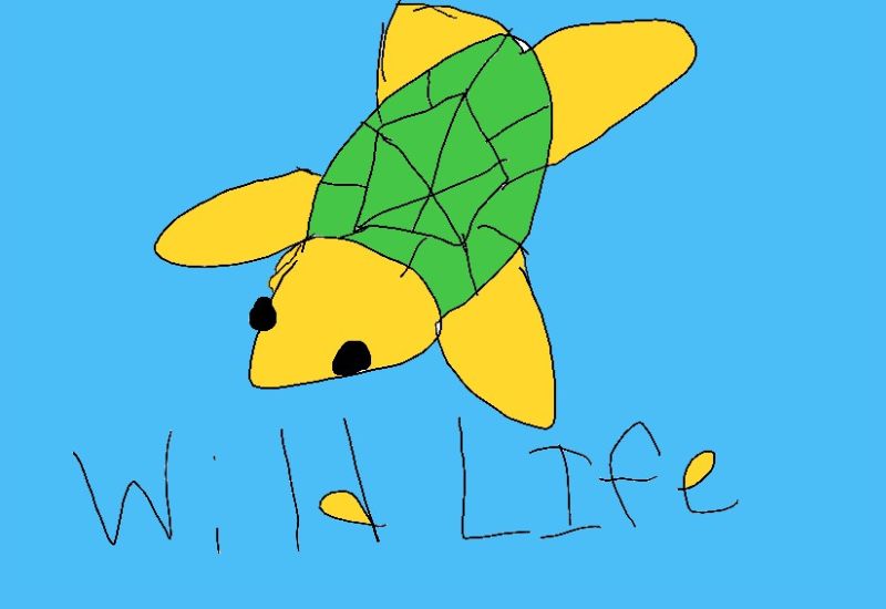 Drawing from Ava