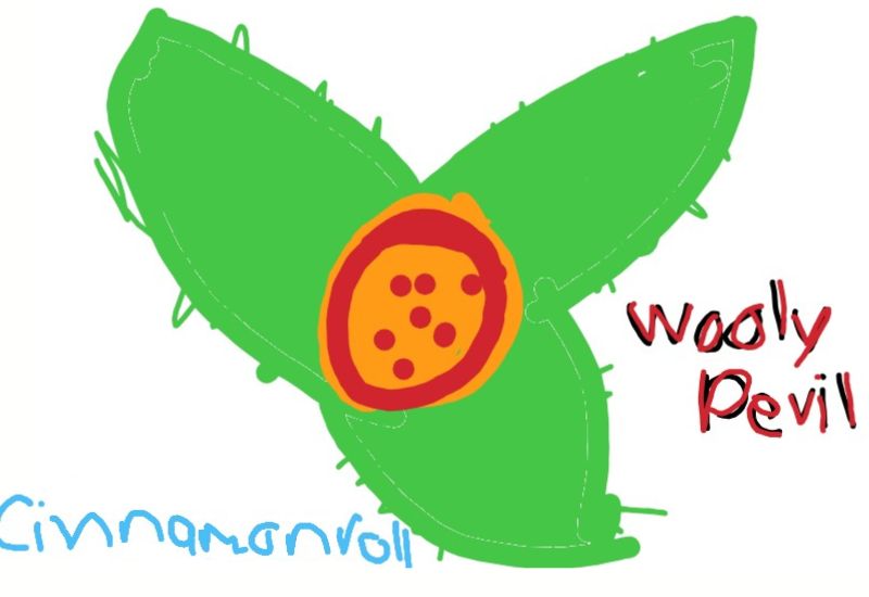 Drawing from Cinnamonroll