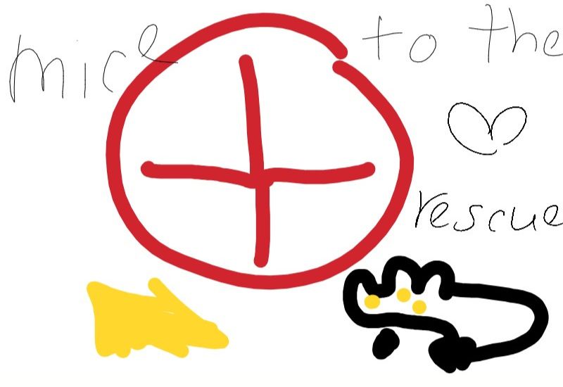 Drawing from Lakyn