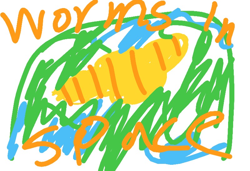 Drawing from Stillitano