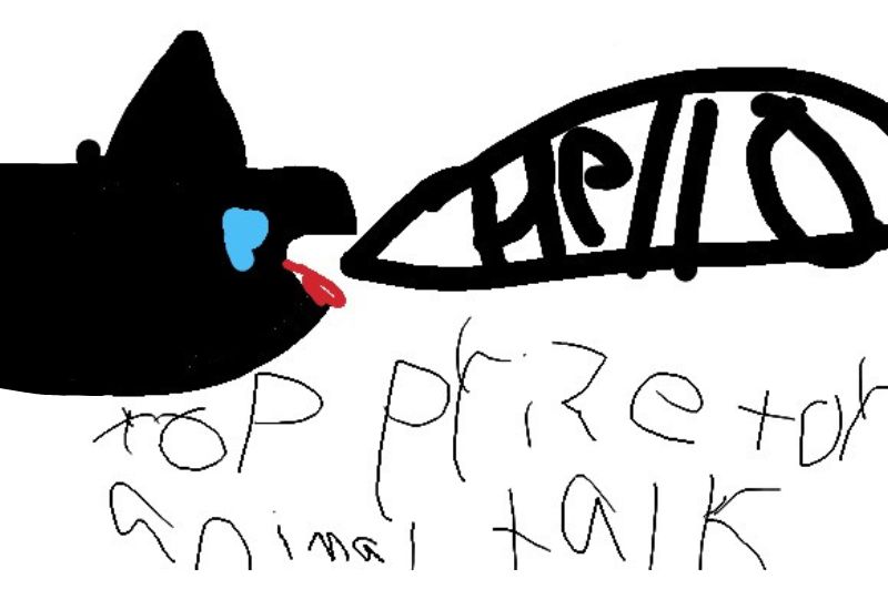 Drawing from User