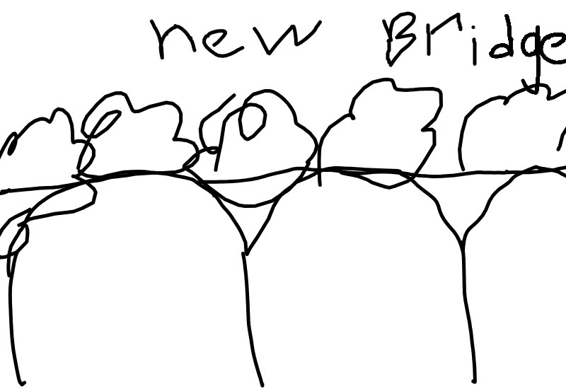 Drawing from Adeline