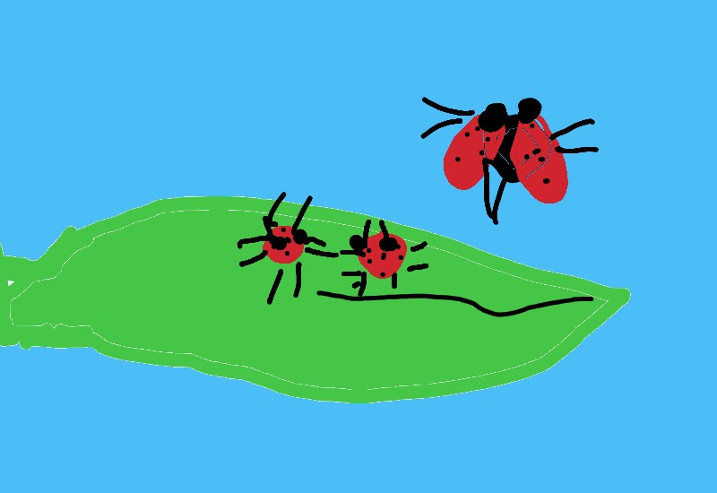 Drawing from Andres