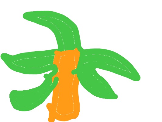 Drawing from Anthony