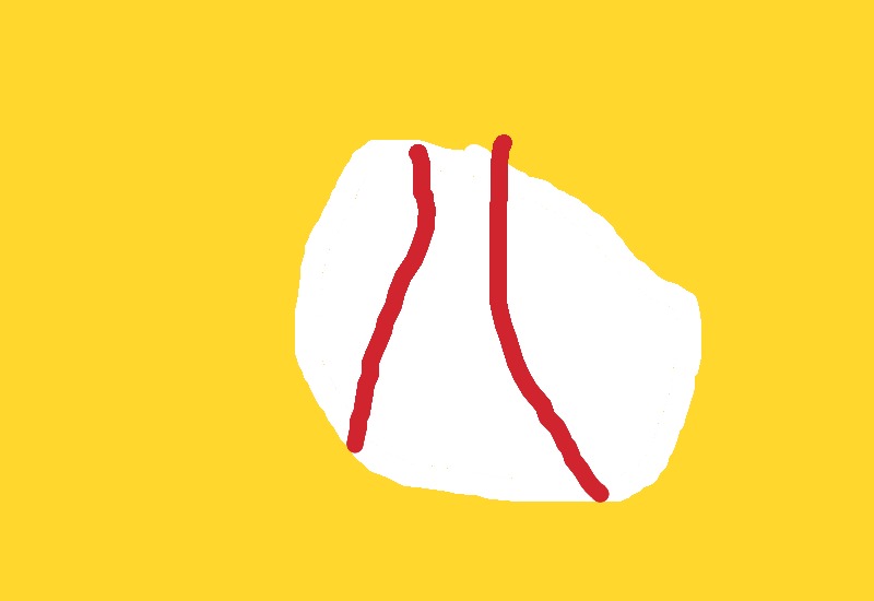 Drawing from Bailey
