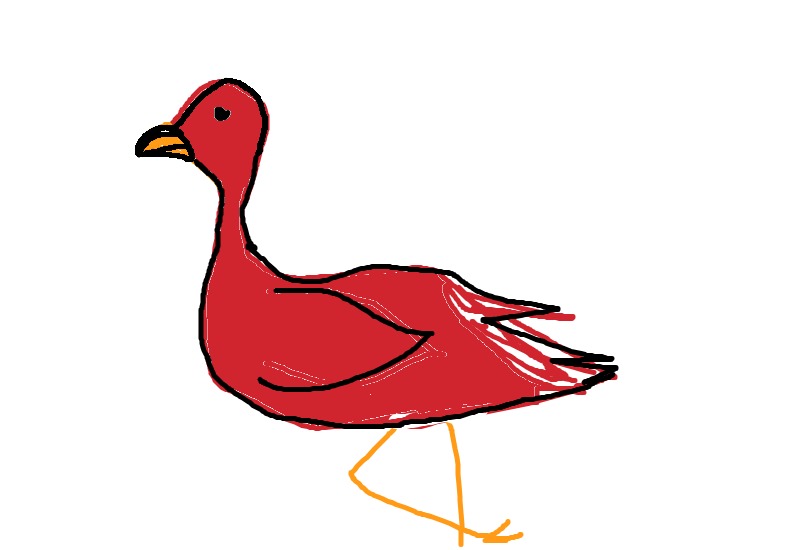 Drawing from Cienna