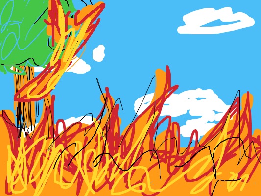 Drawing from User