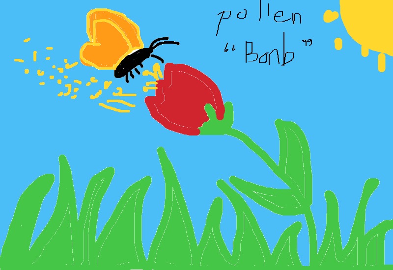 Drawing from User