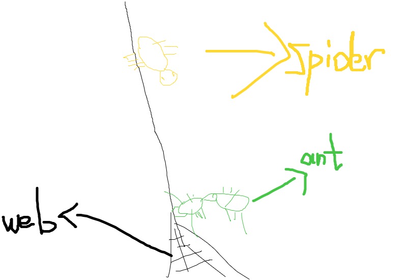 Drawing from User