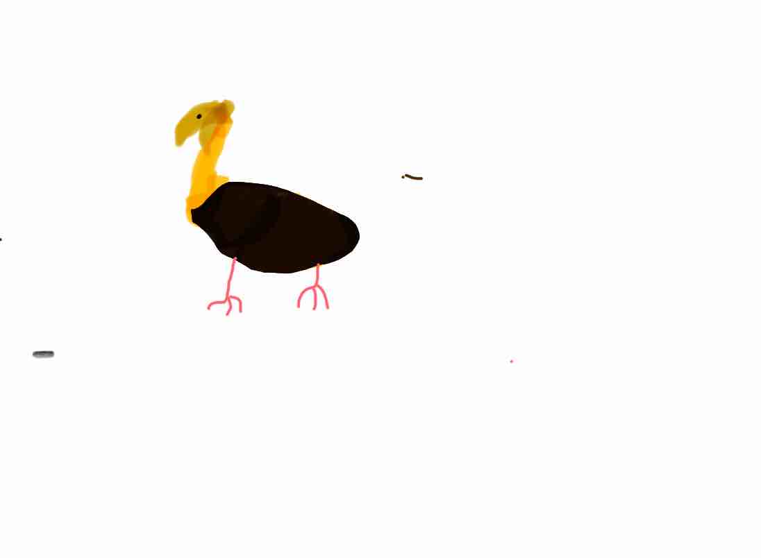 Drawing from User