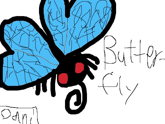 Drawing from Dani