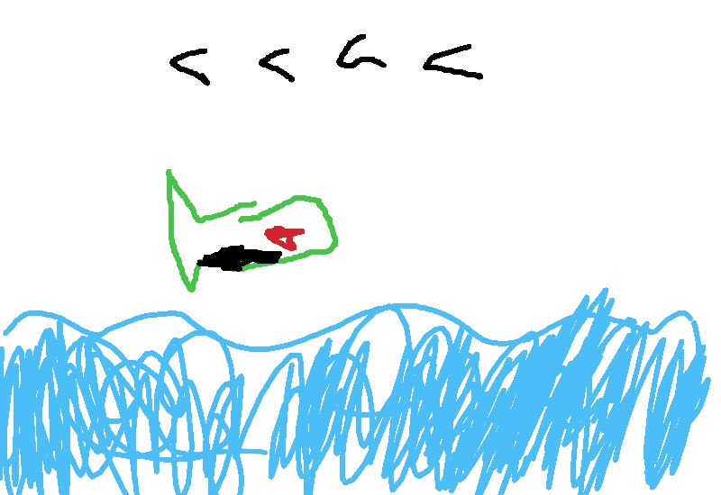 Drawing from User