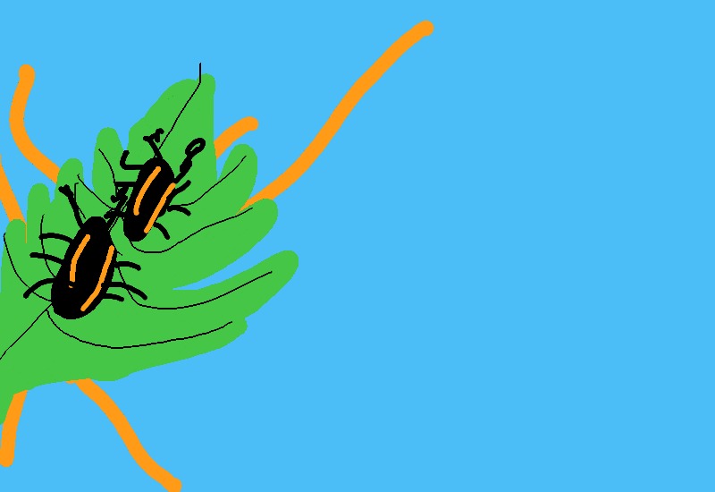Drawing from User
