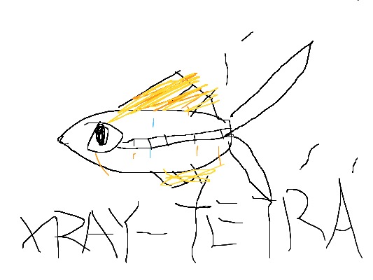 Drawing from User
