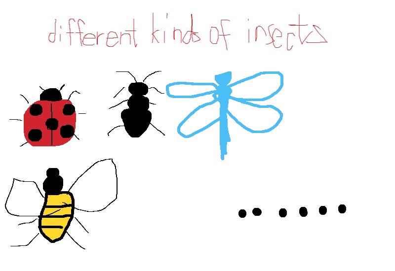 Drawing from User