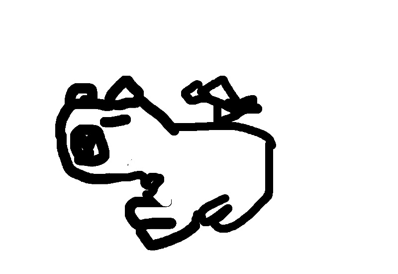 Drawing from User
